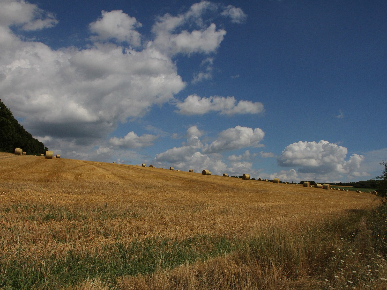 Bliesgau – Photo: Gerd Eichmann