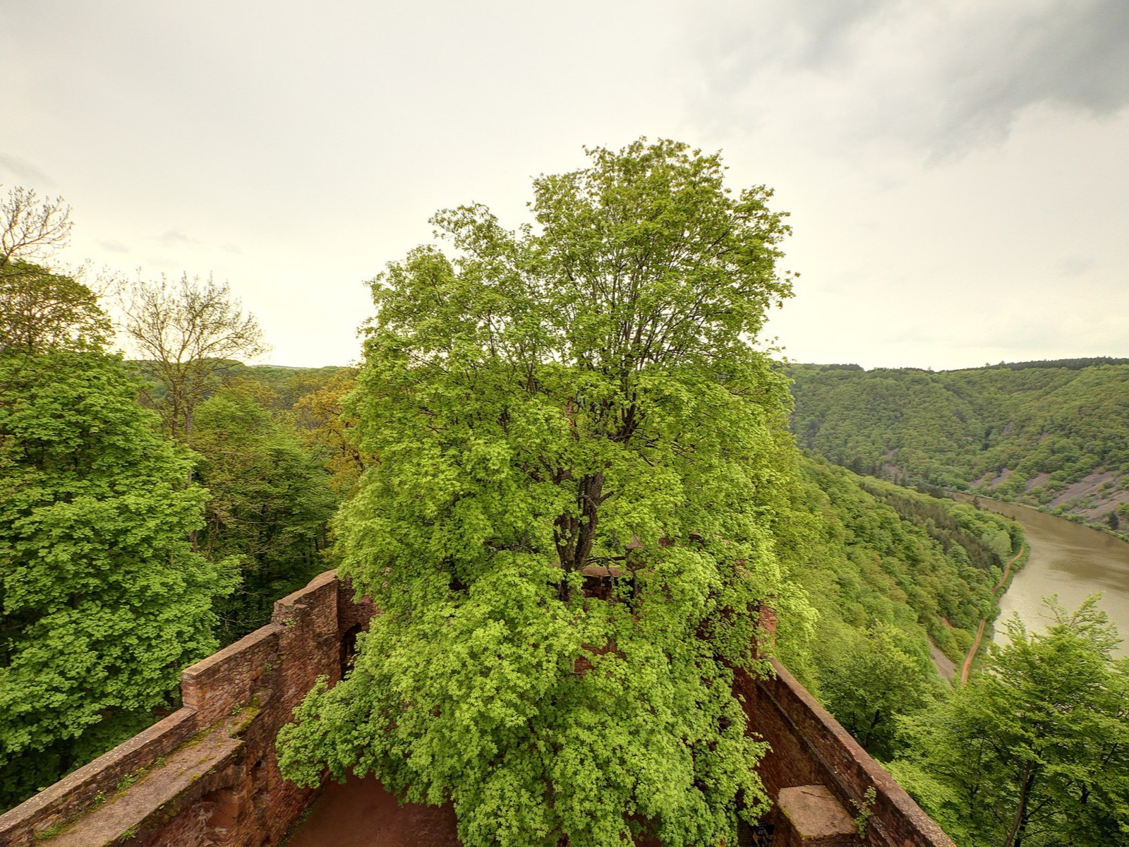 Naturpark Saar-Hunsrück – Photo: Pascal Dihé